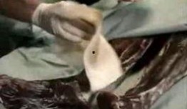 蓝色木乃伊爆料视频在线观看,独家爆料视频在线观看全解析